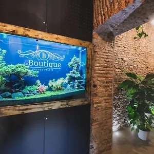 Le Boutique Luxury Diffused In Historic Center Fiumicino